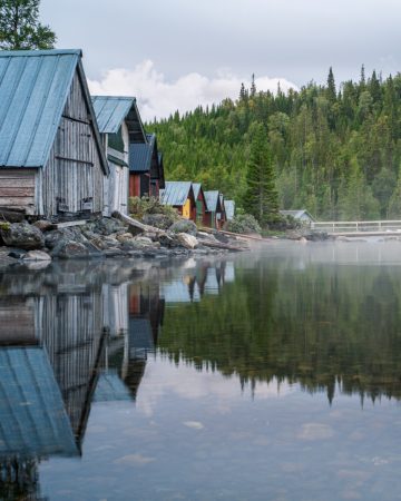 Arctic Urban & Wild Experience