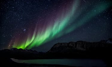 Starry Sky & Northern Lights Forest Safari