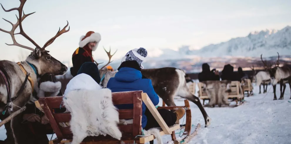 63edf77da8f34033260e3826 1 990x490